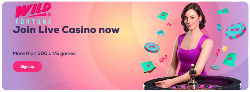 Wild Fortune Casino Online Gambling